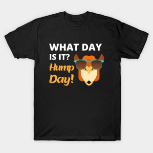 What Day Is It? Hump Day! T-Shirt